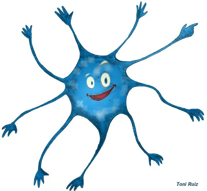 Dibujo de la neurona y sus partes para colorear - Imagui