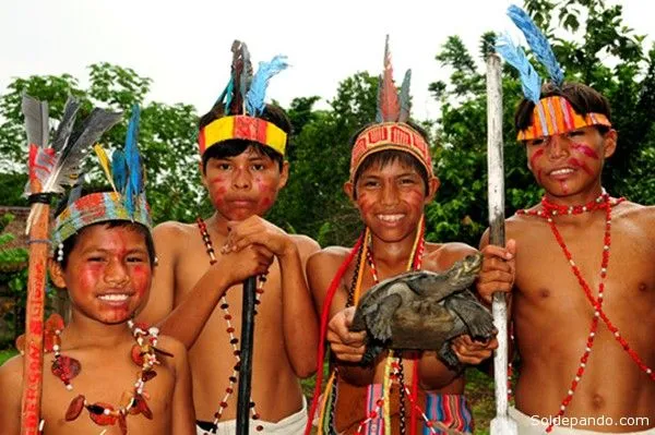 71% de indígenas del Ecuador vive en la Amazonia – Sol de Pando ...