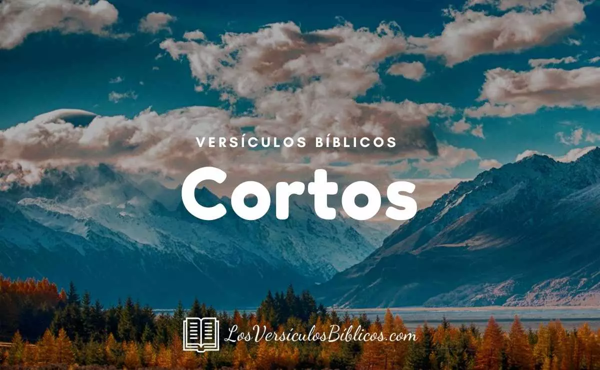 ▷▷ 87 Versículos de la Biblia Cortos y Bonitos con Imágenes