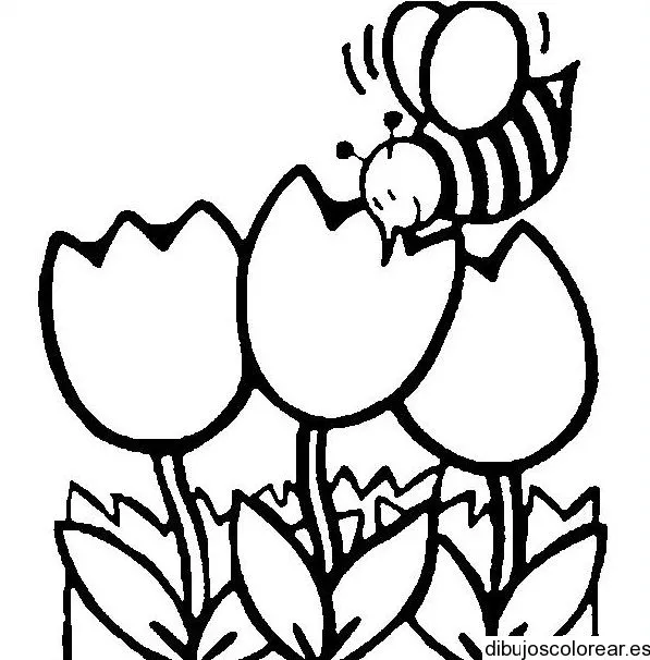 Dibujo de una abeja con flores | Dibujos para Colorear