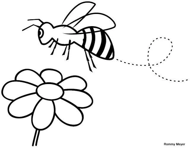 Un panal de abejas para colorear - Imagui
