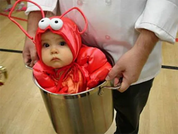 Disfraz de cangrejo para bebé - Imagui