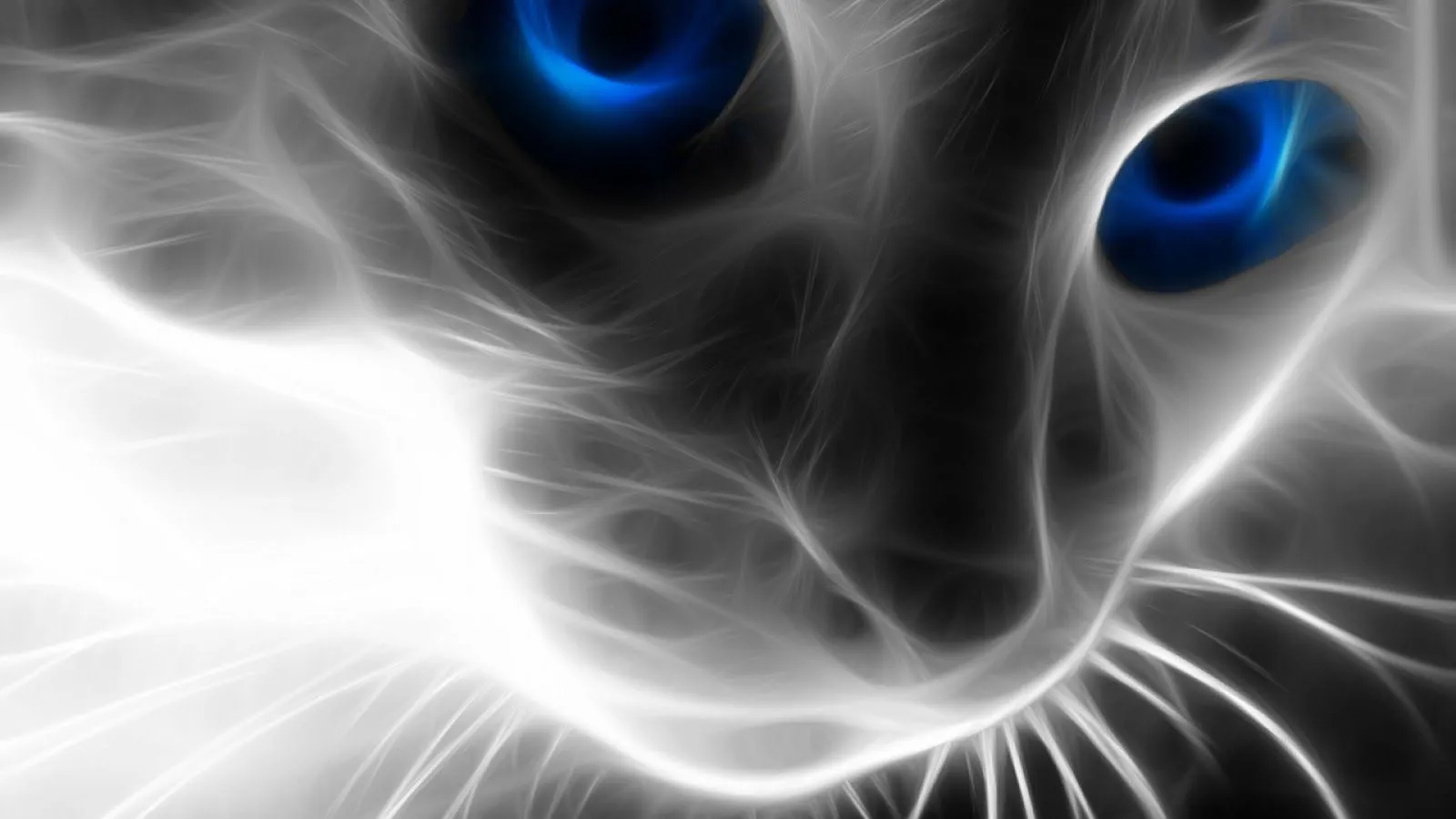 Abstracto ojos de gato - Fondos de Pantalla HD - Wallpapers HD Abstracto ojos de gato - Fondos de Pantalla HD - Wallpapers HD