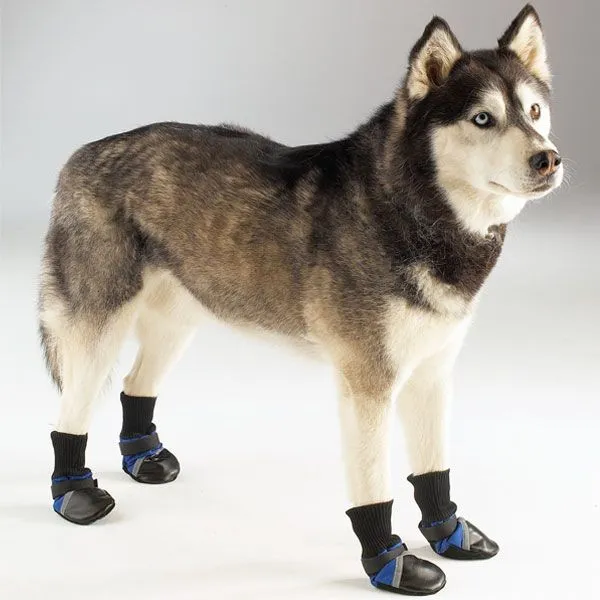 Accesorios para Perros: Calzado Canino: las Botitas para Perros