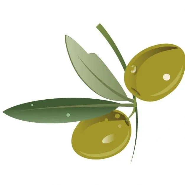 Aceituna verde con hojas | Descargar Vectores gratis