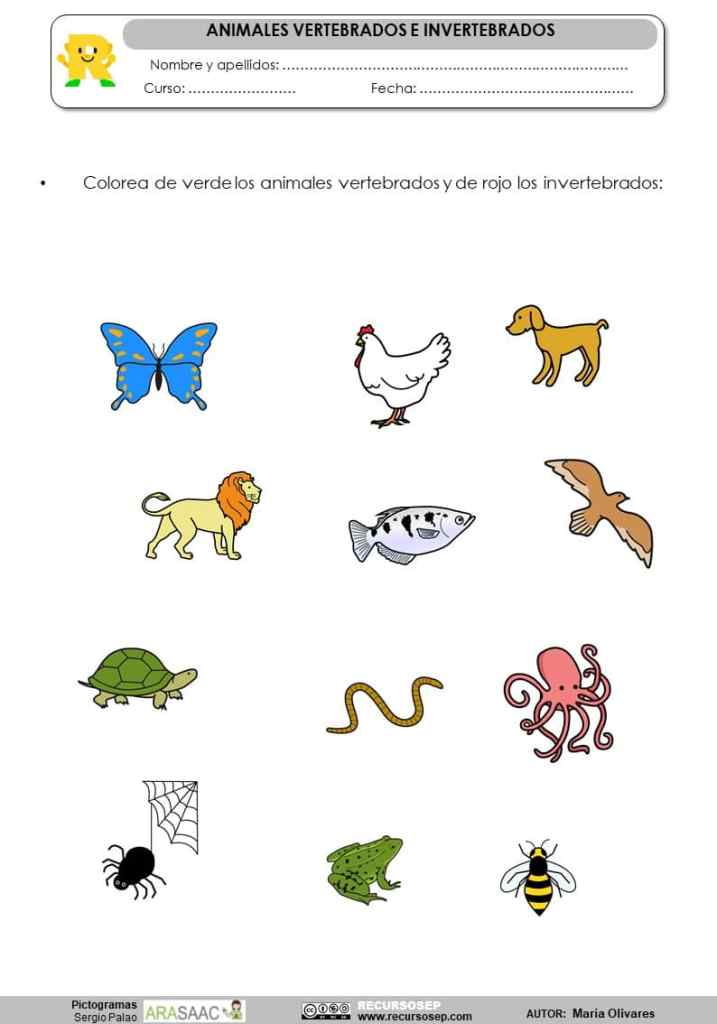 Actividades para aprender los animales vertebrados e invertebrados.