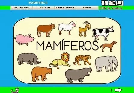 A ESCOLA DE BARCIELA: LOS ANIMALES MAMÍFEROS (Lim) | ANIMALES ...