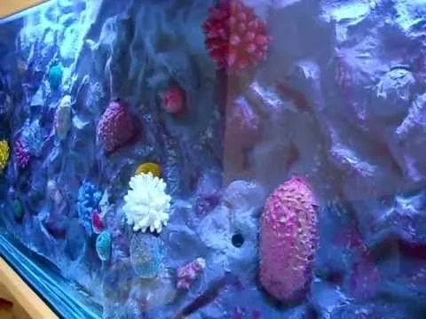 acuario marino artificial MUNDO DE LOS PECES - YouTube