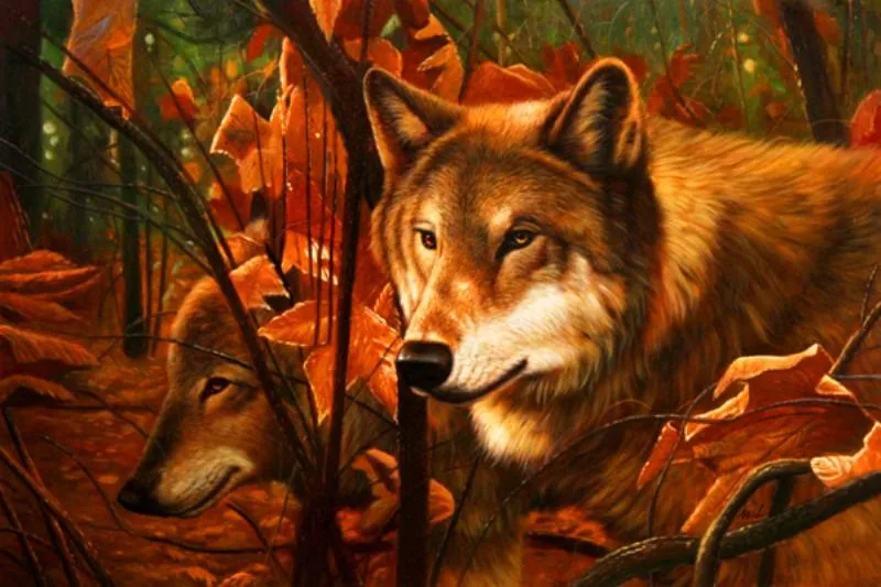 Paisajes con lobos - Imagui