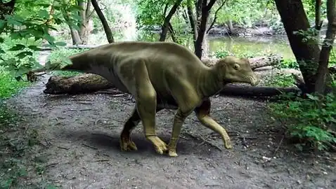 Un adolescente descubre el esqueleto de un bebé dinosaurio - ABC.es