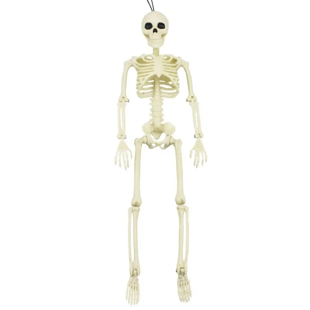 Adorno de calavera movible para fiesta de Halloween, esqueleto humano de  simulación de 16 pulgadas, accesorios de decoración de Festival de fantasmas