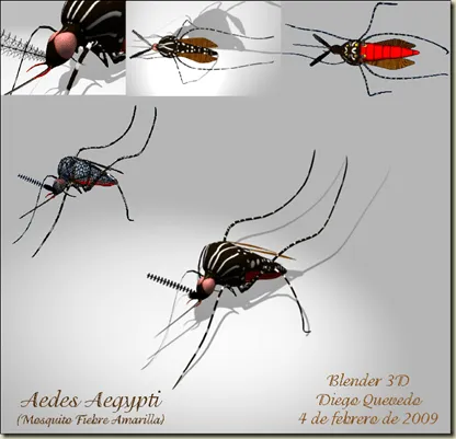 Aedes aegypti + Mosquito fiebre amarilla + RETO ERIC MADRIGAL ...