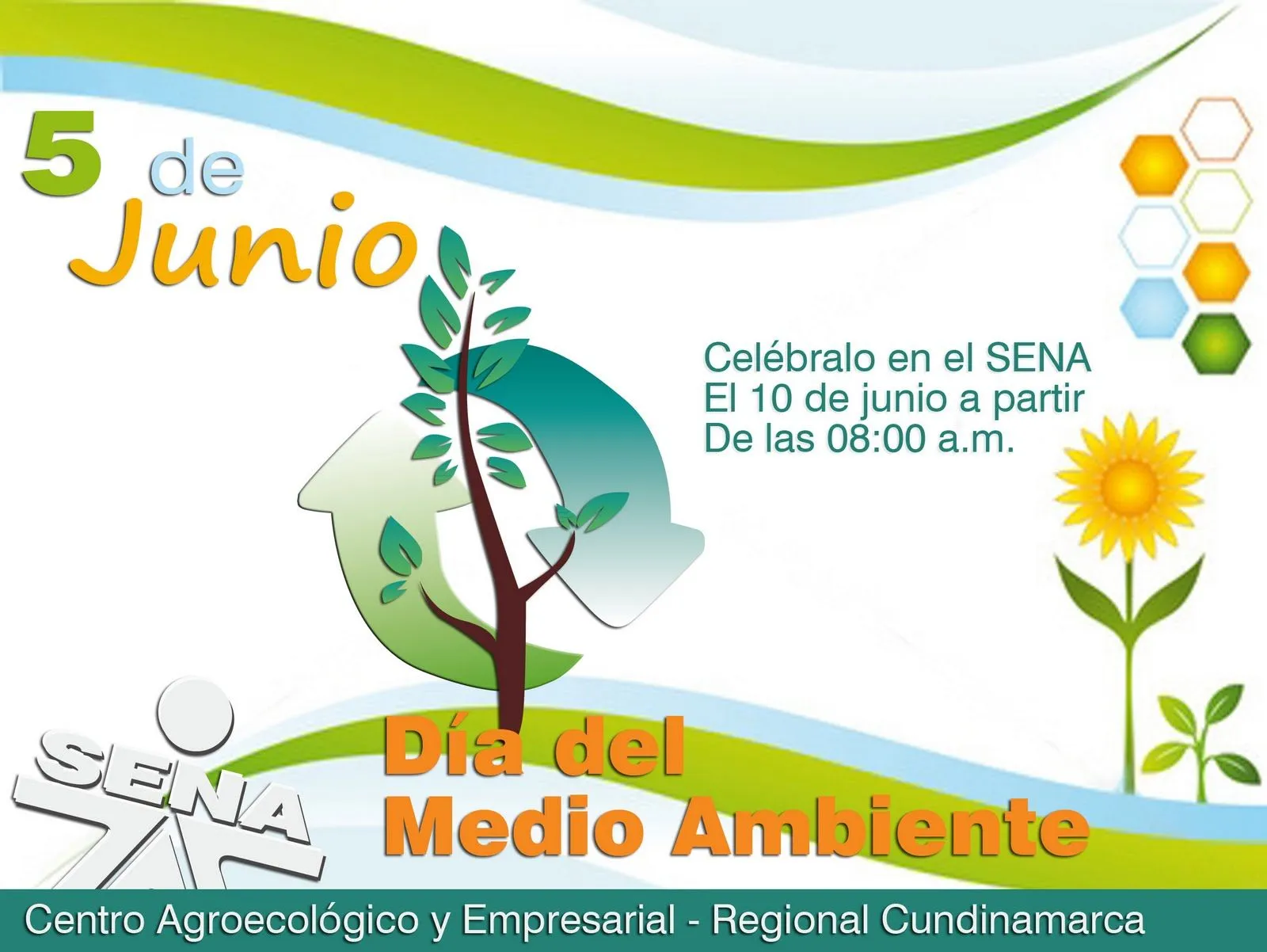 afiche dia medio ambiente | RAI - Colegio de San Luis Gonzaga ...