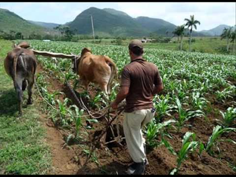 Dia del Agricultor muchas Graciasal Hombre del Campo - YouTube
