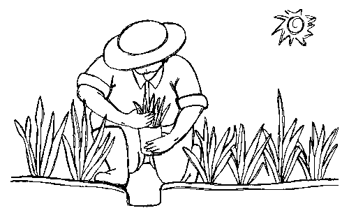 Dibujos sembrando plantas - Imagui