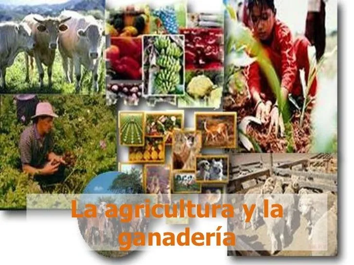 Agricultura y ganaderia dibujos - Imagui