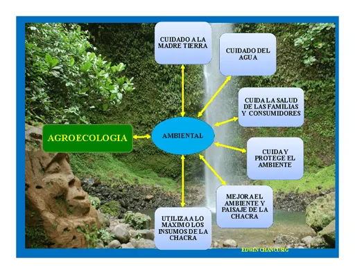 Agroecologia: alternativa de vida - Monografias.com