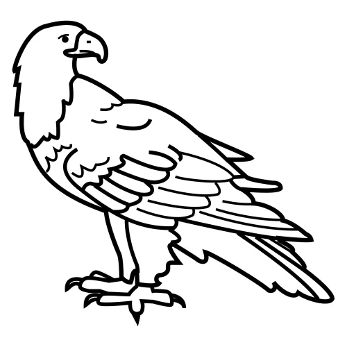 Como dibujar un condor facil - Imagui