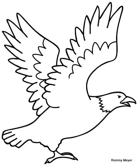 Aguila de caricatura para colorear - Imagui