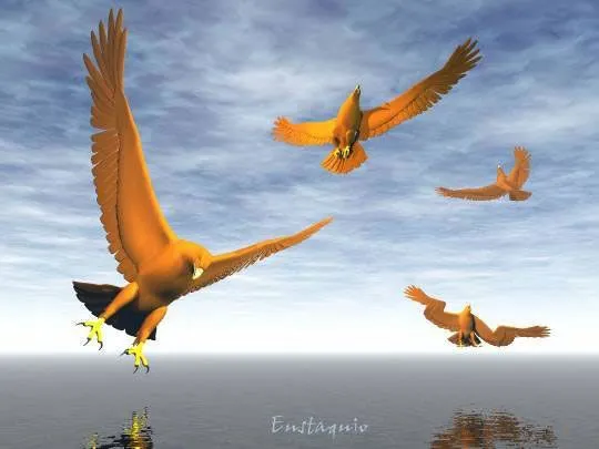 Águilas volando sobre el mar, (Eagles flying over the sea ...