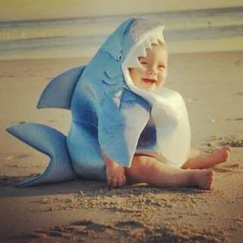 se ah visto un bebe tiburon blanco en la orilla del mar | Flickr ...