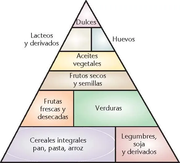 Piramide alimenticia sin color - Imagui