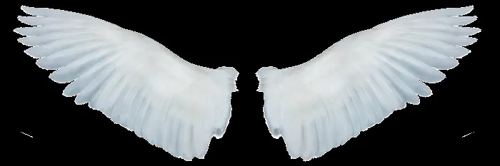 Vectores de angeles para Photoshop gratis - Imagui