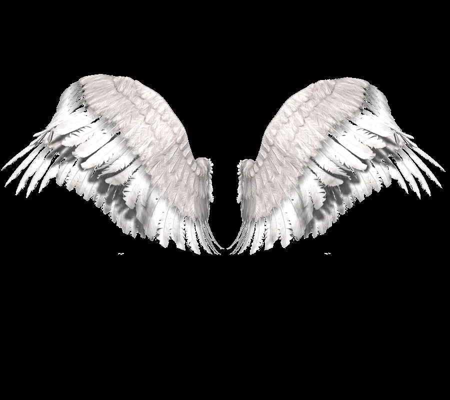 Alas de angel PNG by EugeBiebz212 on DeviantArt Alas de angel PNG by EugeBiebz212 on DeviantArt