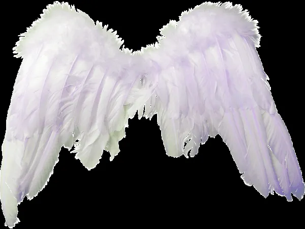 Fotomontajes con alas de angel - Imagui
