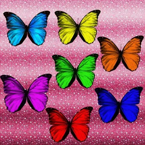 alas de mariposas png by ~soofeditions on deviantART alas de mariposas png by ~soofeditions on deviantART