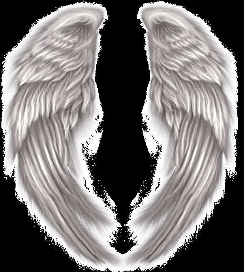Alas Png by AlejandraLeonettBelm on DeviantArt Alas Png by AlejandraLeonettBelm on DeviantArt
