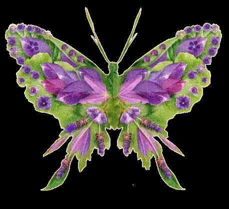 Imagenes mariposas de colores brillantes - Imagui