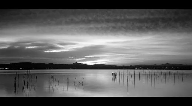 Albufera en blanco y negro | Flickr - Photo Sharing!