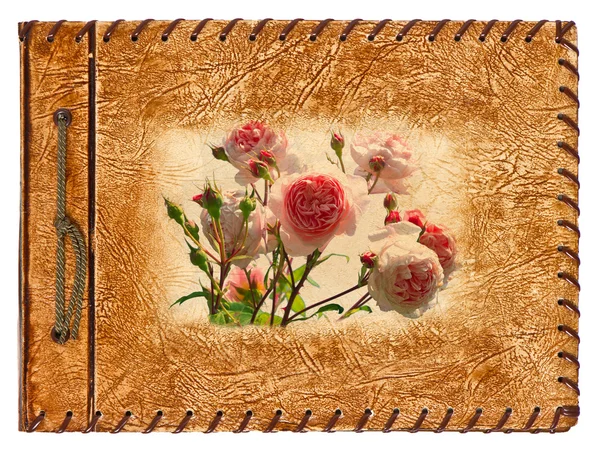álbum vintage con diseño de rosas — Foto stock © LiliGraphie #13434210