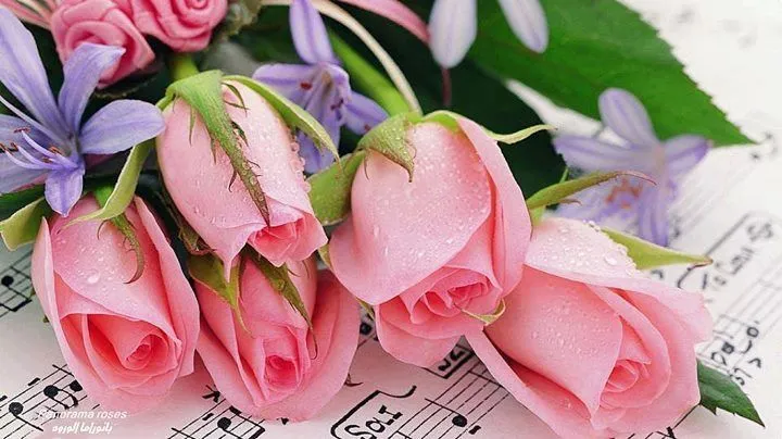 La Alegría de la Huerta: El piano de cola con flores color rosa