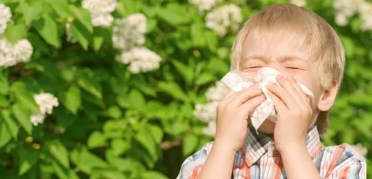 Qué son las alergias infantiles?