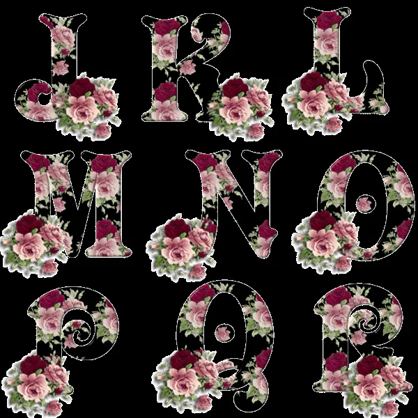 Alfabeto con rosas sobre fondo negro. | Oh my Alfabetos!