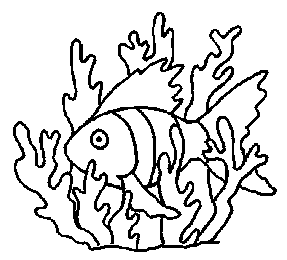 Dibujo de algas marinas para colorear - Imagui