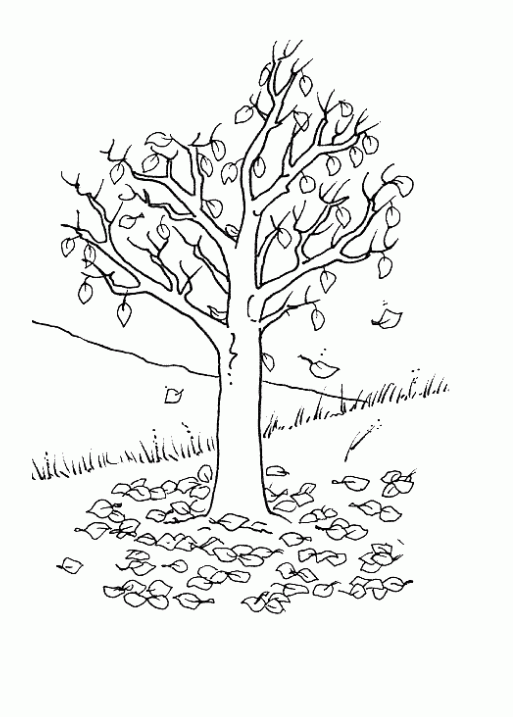 Caidas de las hojas de un árbol en dibujos para colorear - Imagui