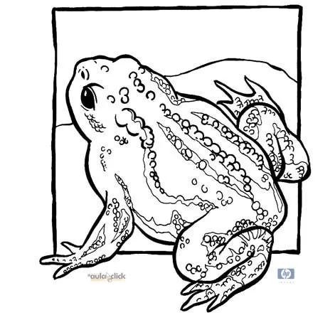 Animales vertebrados e invertebrados para dibujar - Imagui