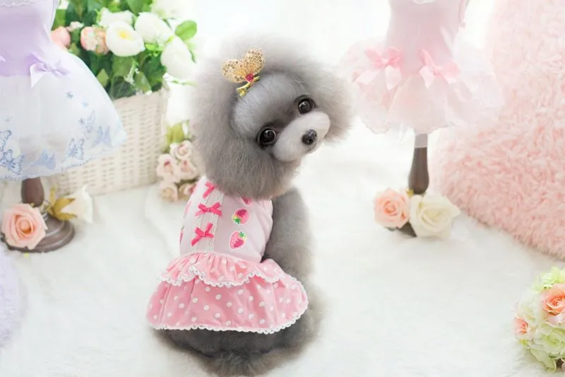 Aliexpress.com: Comprar 2015 Chihuahua cachorro XS perro vestido ...