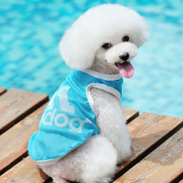 Aliexpress.com: Comprar Huesos Petsinn ropa de malla de mascotas ...