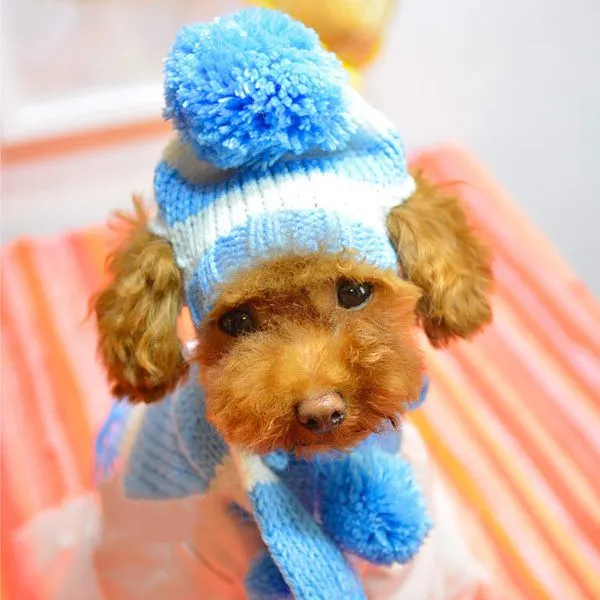 Aliexpress.com: Comprar Perros mascotas ropa caliente del invierno ...