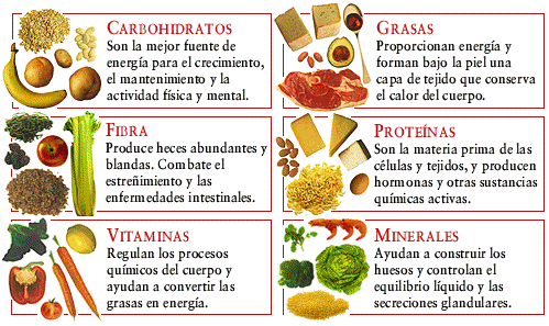 La alimentación y La Nutrición - Taringa!