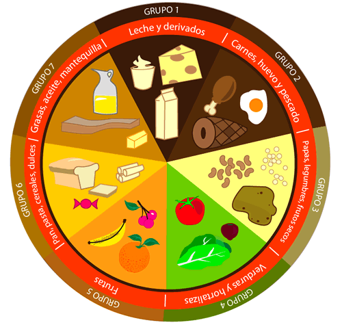 Alimentación Saludable: Círculo de los 7 grupos alimenticios