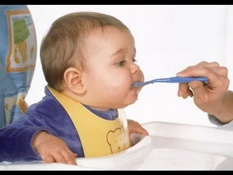 Cómo alimentar a un bebé: Qué darle y qué evitar! - Bellisssimaa2 ...