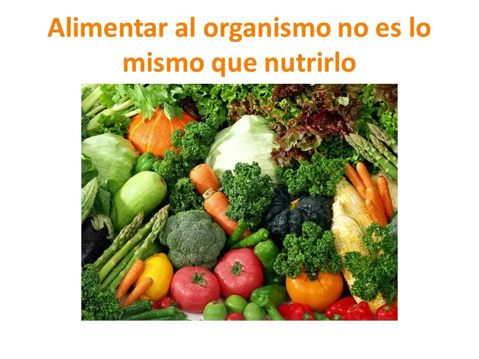 Alimentar un organismo es igual que Nutrirlo? Comida saludable ... Alimentar un organismo es igual que Nutrirlo? Comida saludable ...