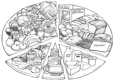 Los alimentos y su clasificacion para pintar - Imagui