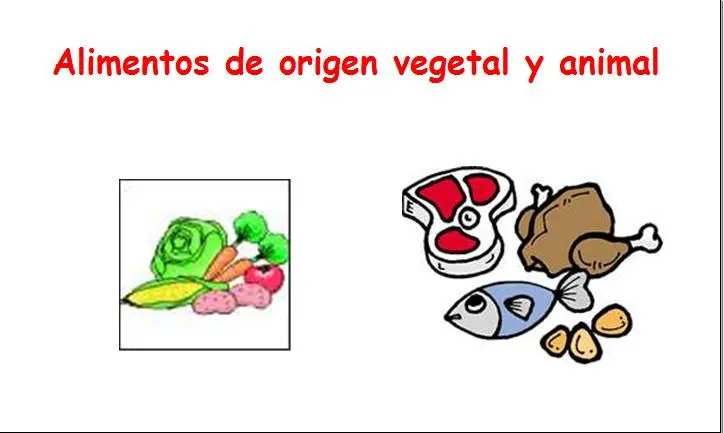 Alimentos de origen animal vegetal y mineral para niños para ...