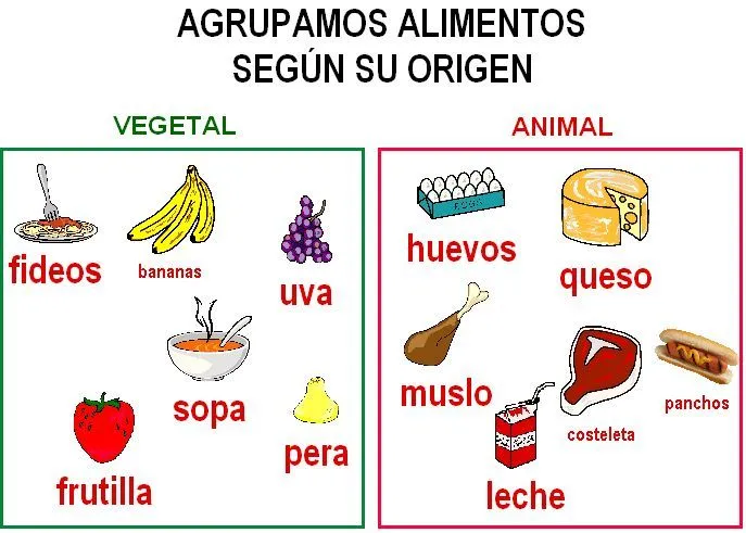 Imagenes de los alimentos segun su origen - Imagui